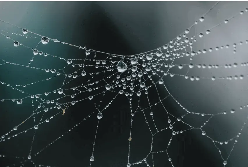 Web3 explained and how will web3 change the way we work and play?