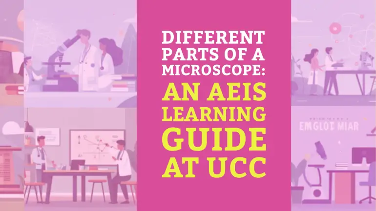 Different Parts of a Microscope: An AEIS Learning Guide at UCC